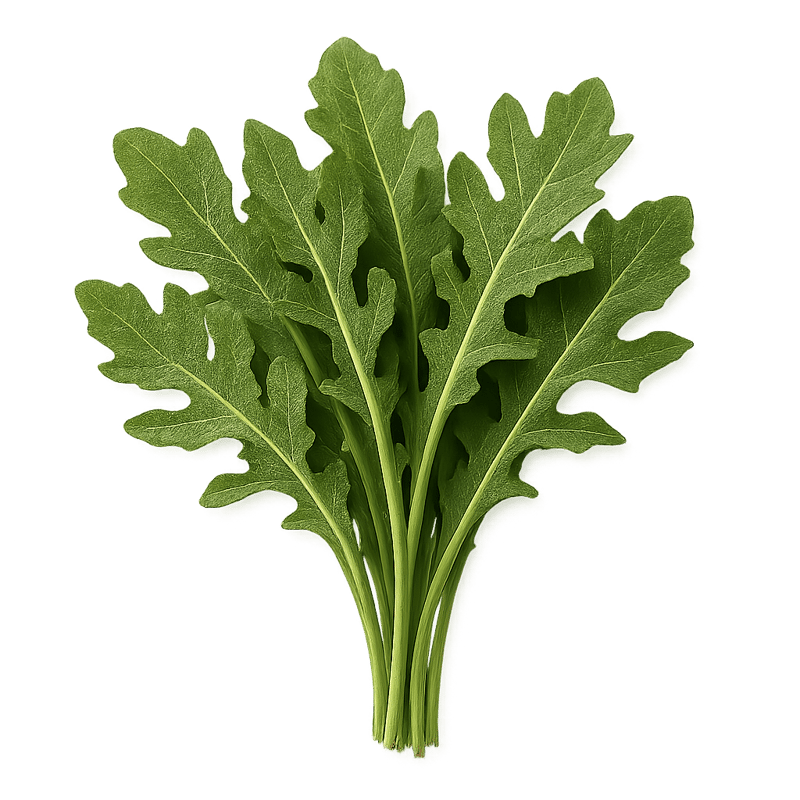 arugula