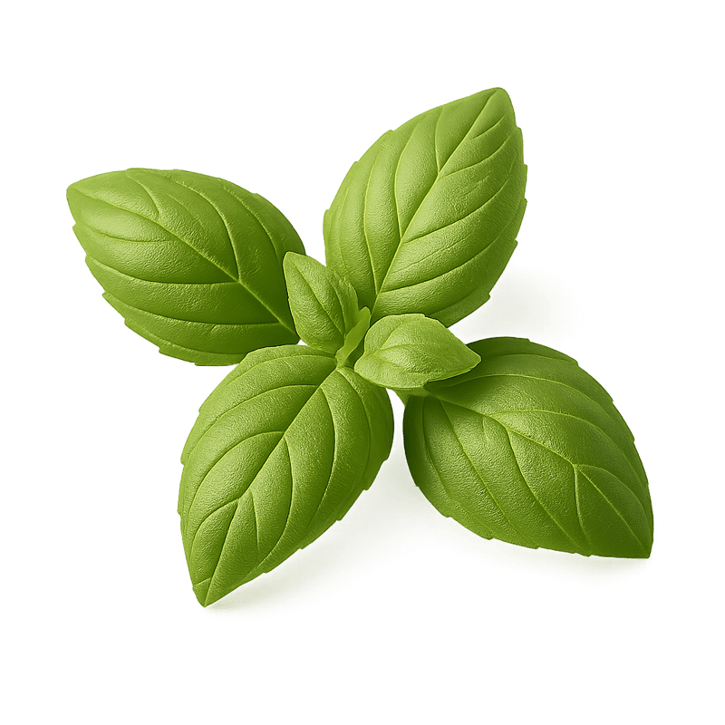 basil