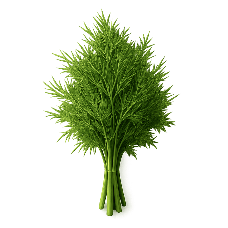 dill