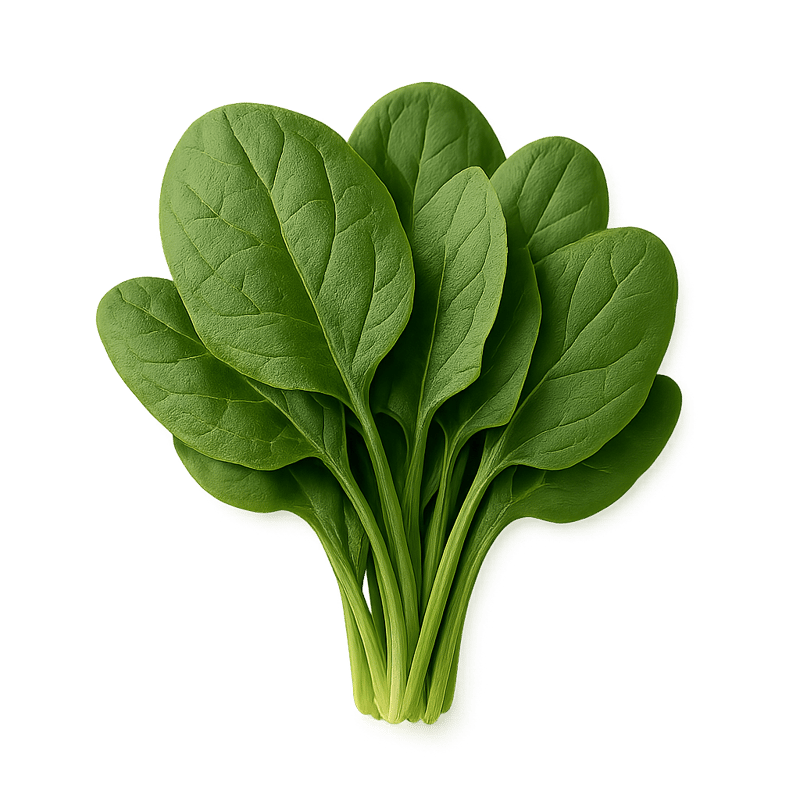 fresh spinach