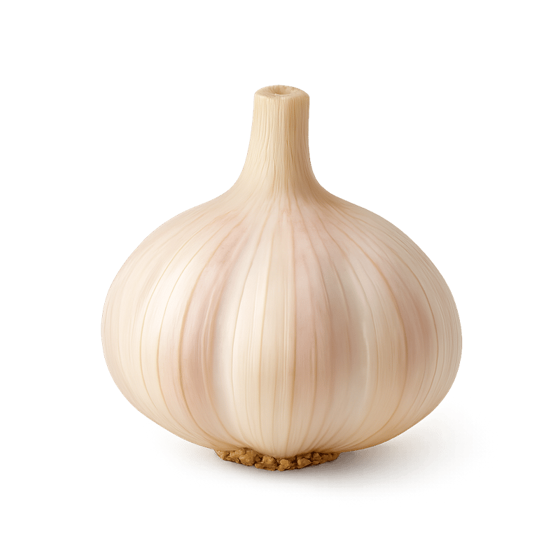 garlic clove
