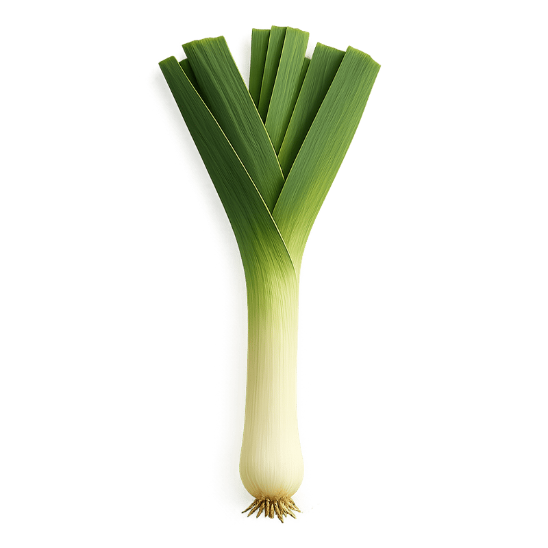 leek