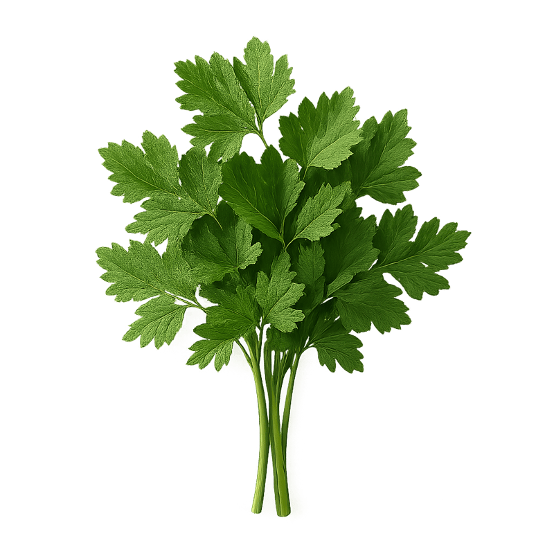 parsley
