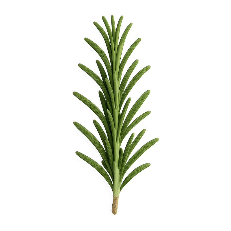 rosemary