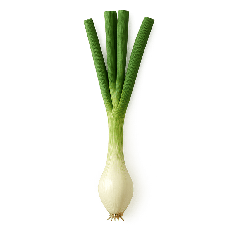 spring onion