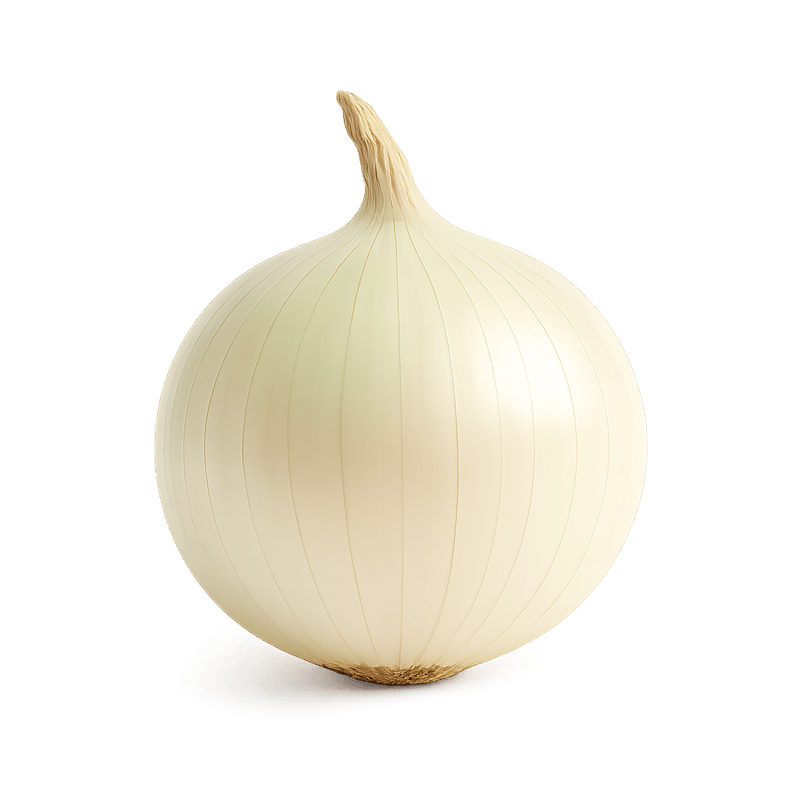 white onion